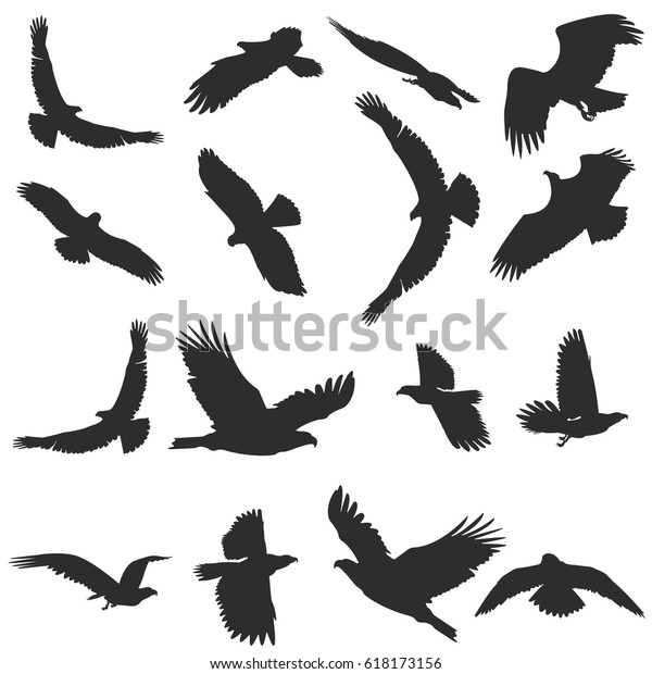 飛ぶ鳥のシルエットのセット 白い背景に別々のベクター画像 のベクター画像素材 ロイヤリティフリー