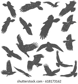 Set of silhouettes of flying birds. Texture, isolated vector image on white background