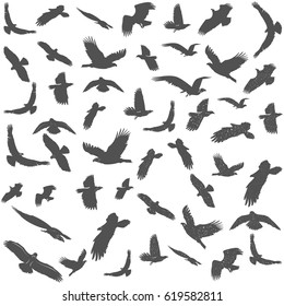 Set of silhouettes of flying birds. Texture, isolated vector image on white background