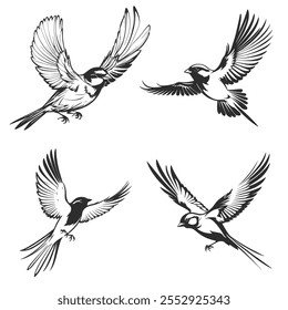Set of silhouettes of flying birds. Vector illustration isolated on white background.