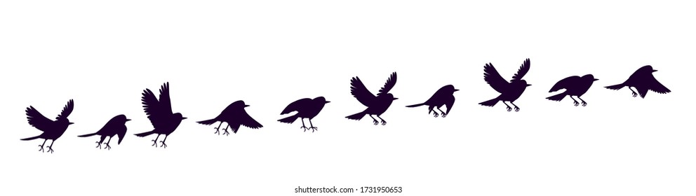 A set of silhouettes of a flying city bird. Full cycle animation of a pigeon or sparrow. Sprites for motion design.