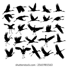 A set of silhouettes of the flying cranes.