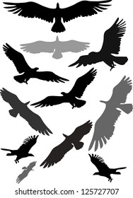 Set of silhouettes of flying eagles