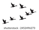 Set of silhouettes of flying geese. Birds flock with V formation. Geese migrating season