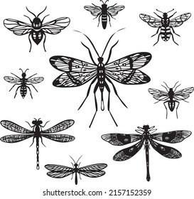 Set of silhouettes of flying insects. Vector collection of graphic illustrations of flying insects