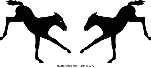 Set of silhouettes of foals. Vector illustration