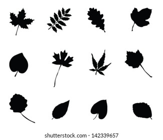 Set of silhouettes of foliage 2-vector