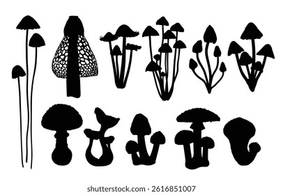 The set silhouettes of forest mushrooms.
