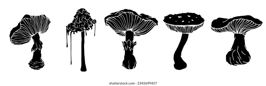 Set of silhouettes of forest mushrooms toadstools.Vector graphics.
