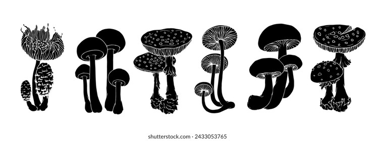 Set of silhouettes of forest mushrooms toadstools.Vector graphics.	