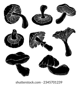Set of silhouettes of forest mushrooms.Vector graphics.