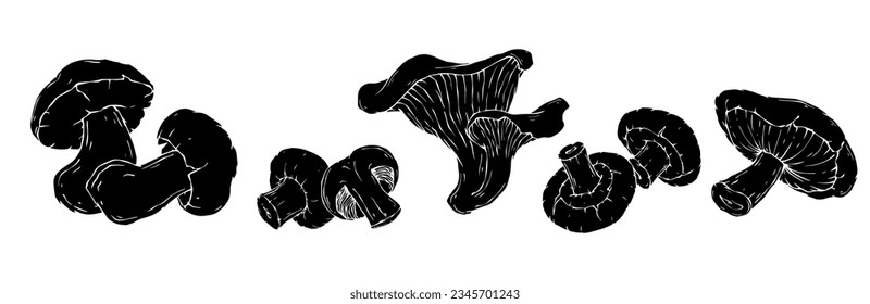 Set of silhouettes of forest mushrooms.Vector graphics.