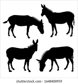 Set of silhouettes of four mules in black on a white background.  Vector illustration of donkeys standing in different poses. Side view, in profile.