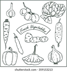 A set of silhouettes of fresh vegetables.