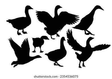 The set silhouettes of geese.
