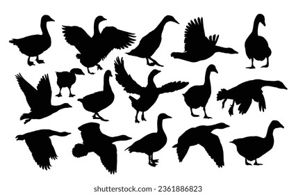 The set silhouettes of geese.
