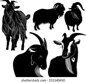 set of silhouettes of goat