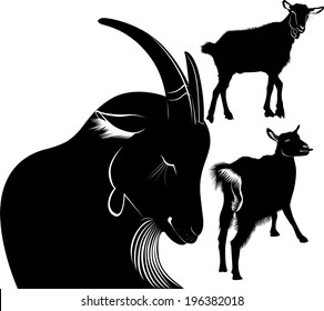 set of silhouettes of goat isolated on white background