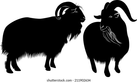 set of silhouettes of goat on a white background