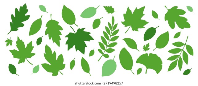 A set of silhouettes of green leaves of different shapes on a white background. Fresh, juicy leaves, for seasonal designs. Vector EPS 10.