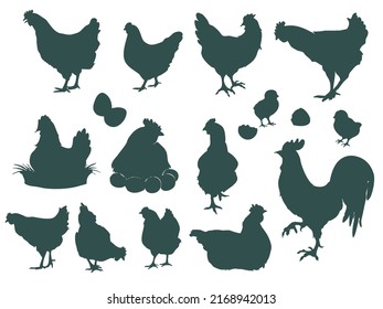 Set of silhouettes of hen, chick and rooster. Silhouettes of village hens and rooster