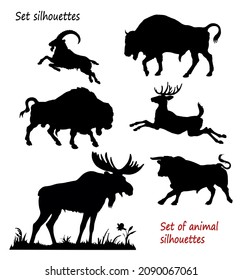 a set of silhouettes of herbivorous animals, elk, deer, bison, ibex, bison, bull, isolated on a white background. 