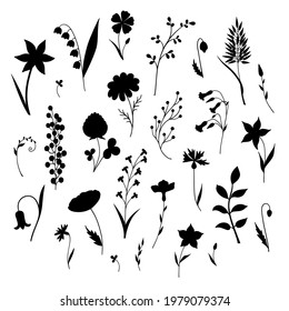 Set of silhouettes of herbs and flowers. Collection of isolated elements on a white background.