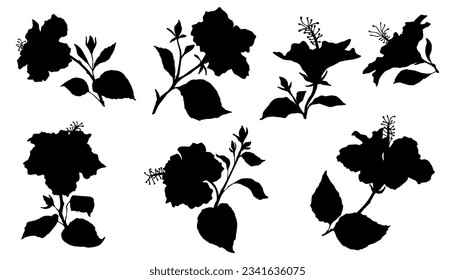 Set of silhouettes of hibiscus flowers and buds.Vector graphics.