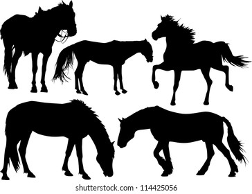 Set of silhouettes of a horse