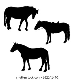 Set of silhouettes of horses, black color, isolated on white background