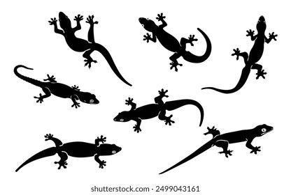 Set of silhouettes of house lizards for reptile design