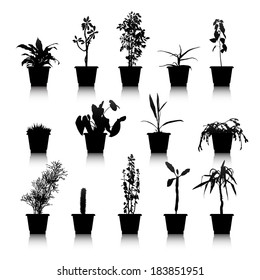 Set of silhouettes house plants in pots