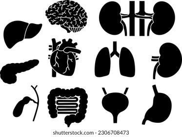 Set of silhouettes of human organs