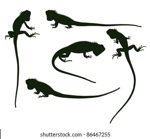 set of silhouettes iguana