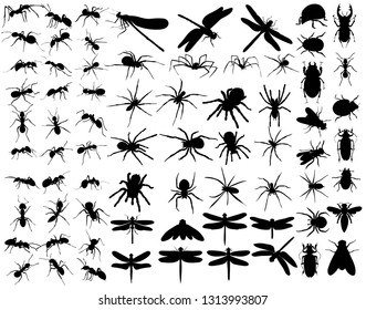  set of silhouettes of insects, ants, dragonfly, spiders, beetles