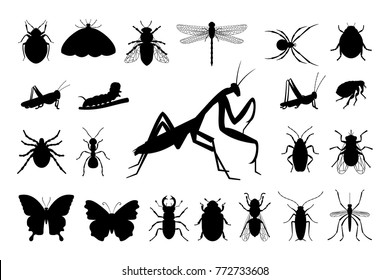 Set of silhouettes of insects: butterfly, mantis, grasshopper, dragonfly, mol, flea, fly, caterpillar, spider, mosquito