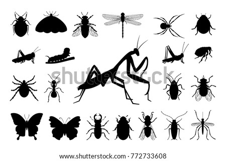 Similar – Image, Stock Photo Silhouette of a Mantis on Grass