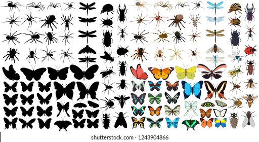 set of silhouettes of insects, spiders, butterflies, beetles