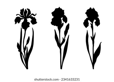 Set of silhouettes of iris flowers and buds.Vector graphics.