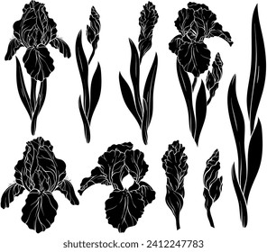 Set of silhouettes of iris flowers and leaves. Spring floral print, decorative botanical background with hand drawn plants. Vector illustration.