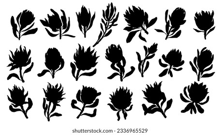 Set of silhouettes, kakula protea flowers. Vector graphics.