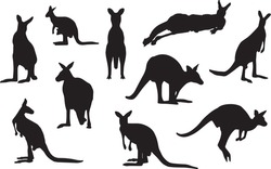 Set Silhouettes Of Kangaroo, Different Poses, Black Color, Isolated On White Background. Lies, Stands, Sits, Jumps. Vector Realistic Illustrations