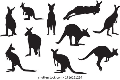 Set silhouettes of kangaroo, different poses, black color, isolated on white background. Lies, stands, sits, jumps. Vector realistic illustrations