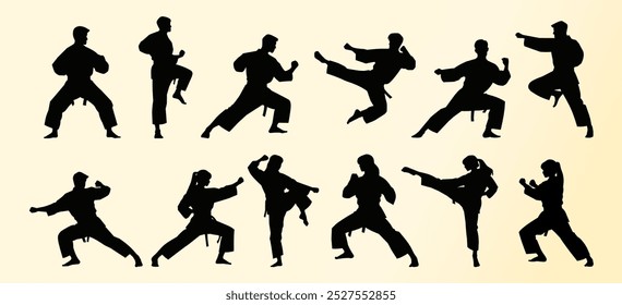 Set silhouettes  karate poses, including high kicks, punches, and defensive stances. The figures highlight balance, agility, and strength.