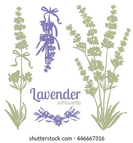 Set Of Silhouettes Of Lavender Flowers. Vector Illustration