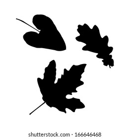 Set of a silhouettes of leaves