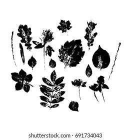 Set silhouettes of leaves black. Hand drawn vector illustrations on white background. Modern flat style.