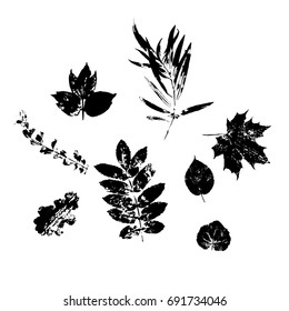 Set silhouettes of leaves black. Hand drawn vector illustrations on white background. Modern flat style.