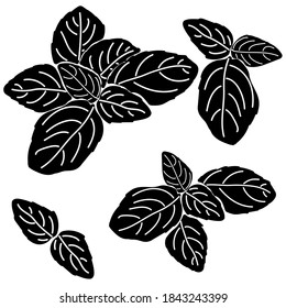 Set Of Silhouettes Of Leaves And Bunches Of Basil, Eco Aromatic Herbs And Spices For The Kitchen, Stylization For Logos, Labels, Etc. Vector Illustration