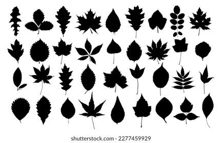 A set of silhouettes leaves of trees and shrubs.
